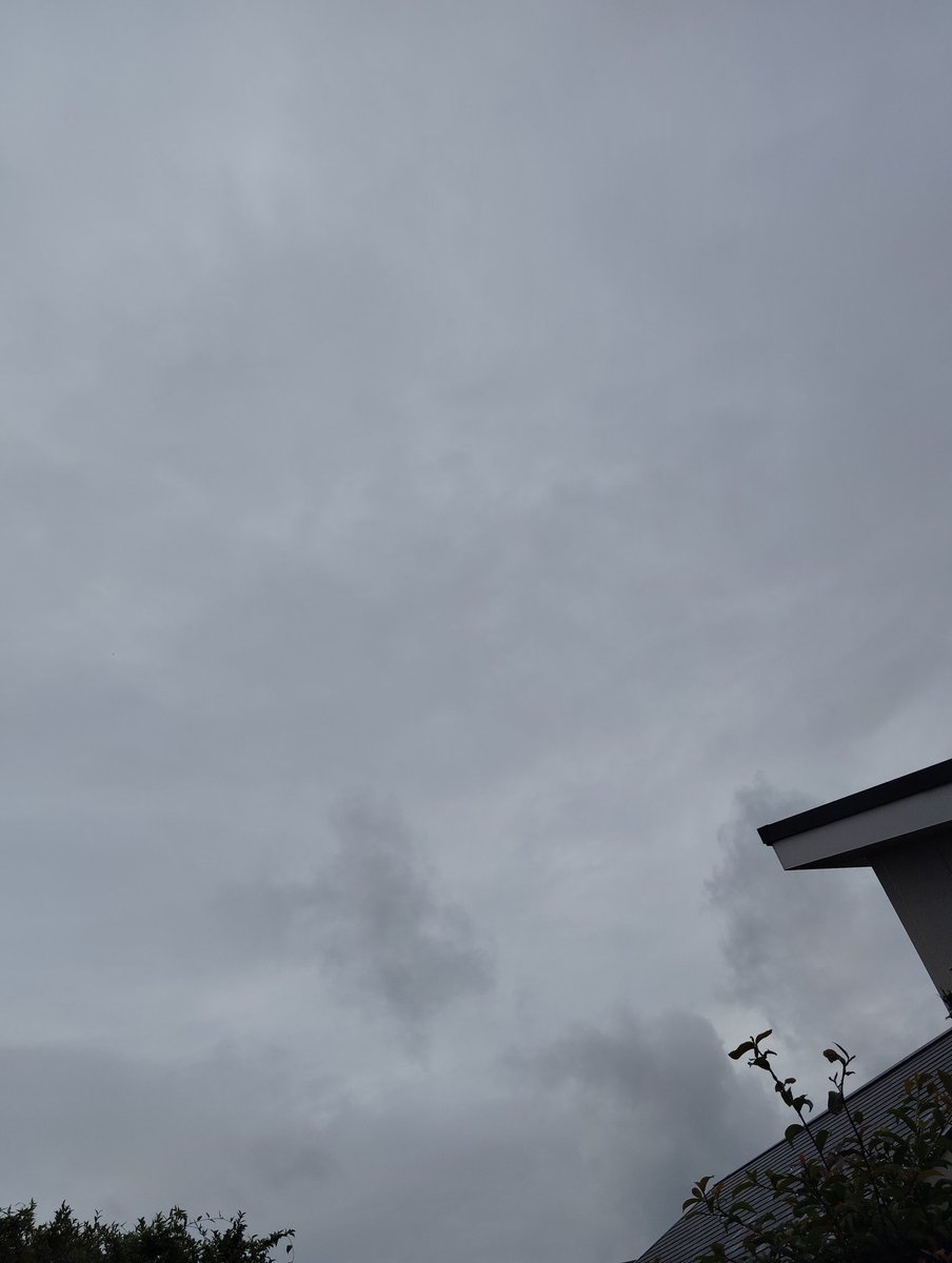 shibashigeru's tweet photo. おはようございます。
今日の朝の名古屋の天気くもり☁です。
気温21℃
りんご🍎
順調に成長中😊

青パト
今日も異常ないように🙏
行って来ます。
#果物#安全#安心#学区#巡回#異常#通報#警察署 https://t.co/ByAmskNvOY