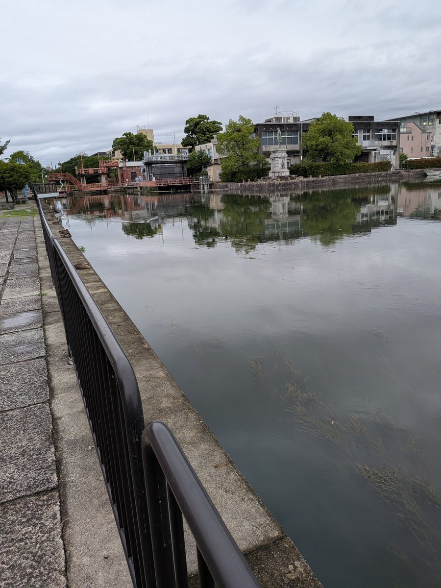 牛野田 tweet media