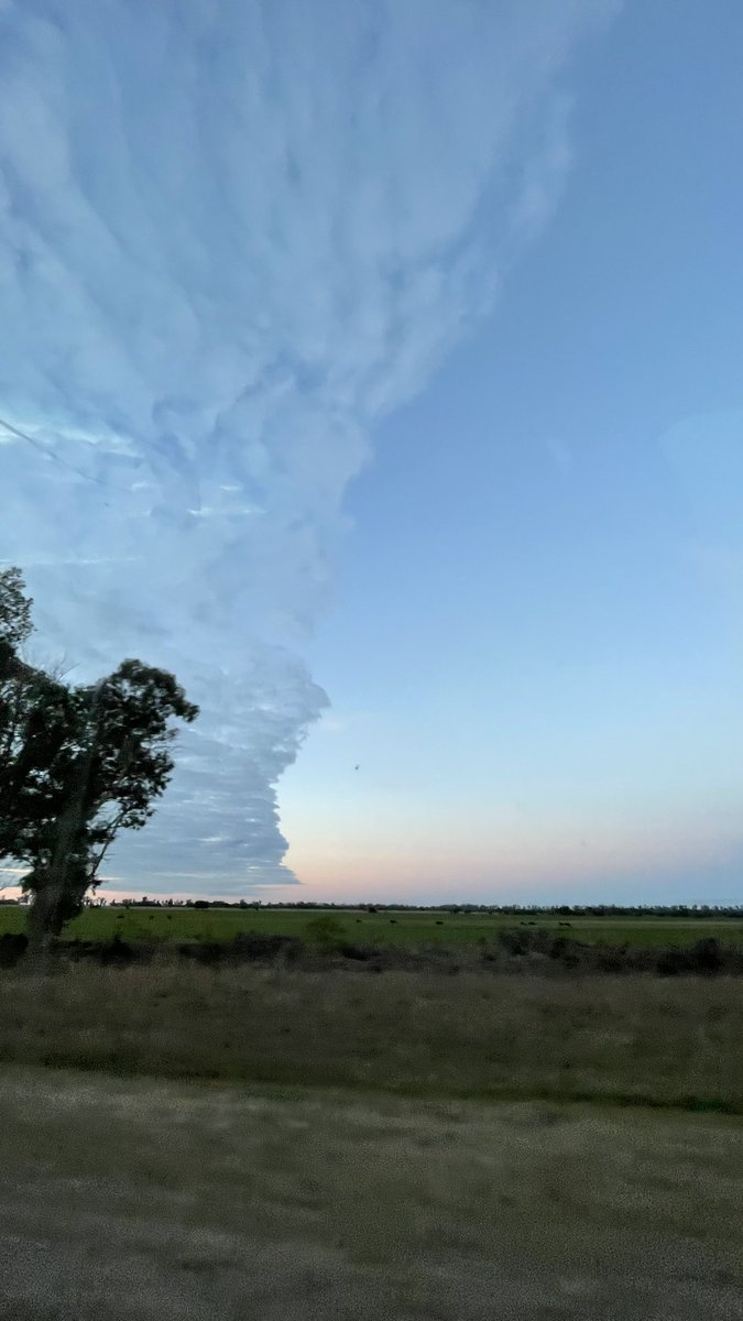 MatiasaArias's tweet photo. @cindymfernandez Ayer! Así se veía el frente en la provincia de Santa Fe, a unos 80km al norte de la capital provincial. https://t.co/Q7zpmnkfU9