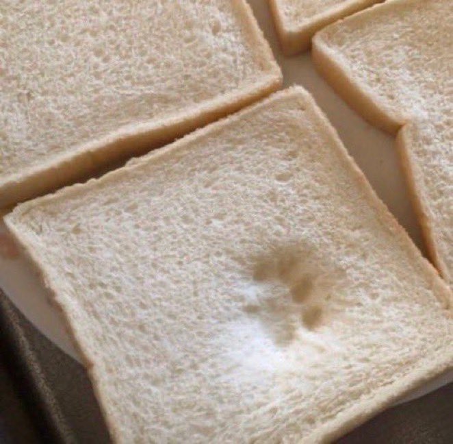 athrala's tweet photo. “who stepped on my bread????”
“i did! :3” https://t.co/GdCHEgGzUd