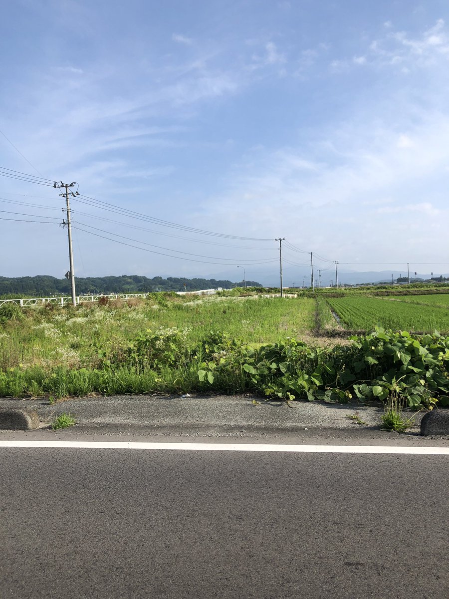 rugstore's tweet photo. #床暦｜文月

7月5日
今日の一歩が軽い日は、風も機嫌がいい。 https://t.co/bRAxs8Ue0m