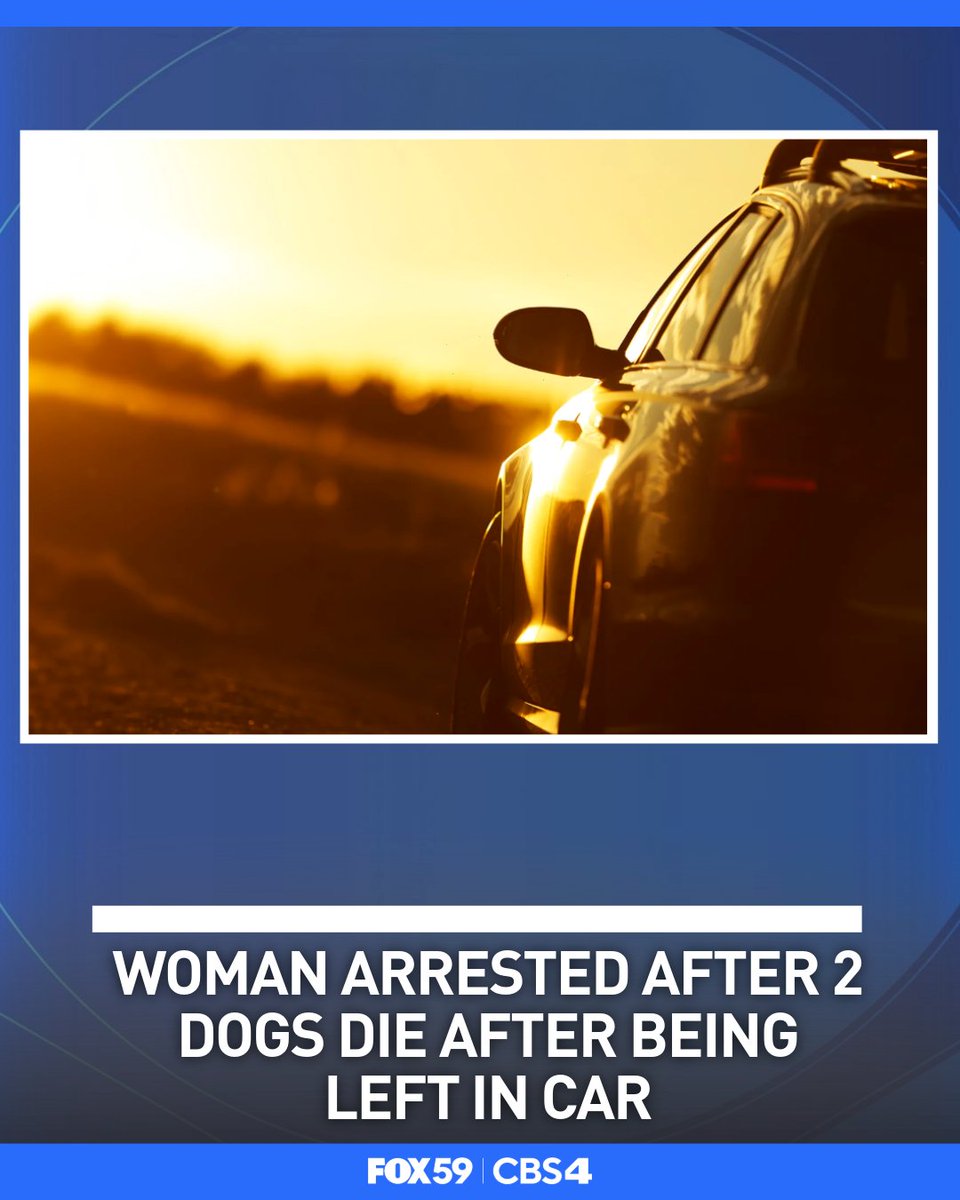 CBS4Indy's tweet photo. A woman has been arrested after 2 dogs died after being left in a car at a Cicero restaurant.
Read more here: https://t.co/o9pNPQCiPG https://t.co/r9skpVwV2n