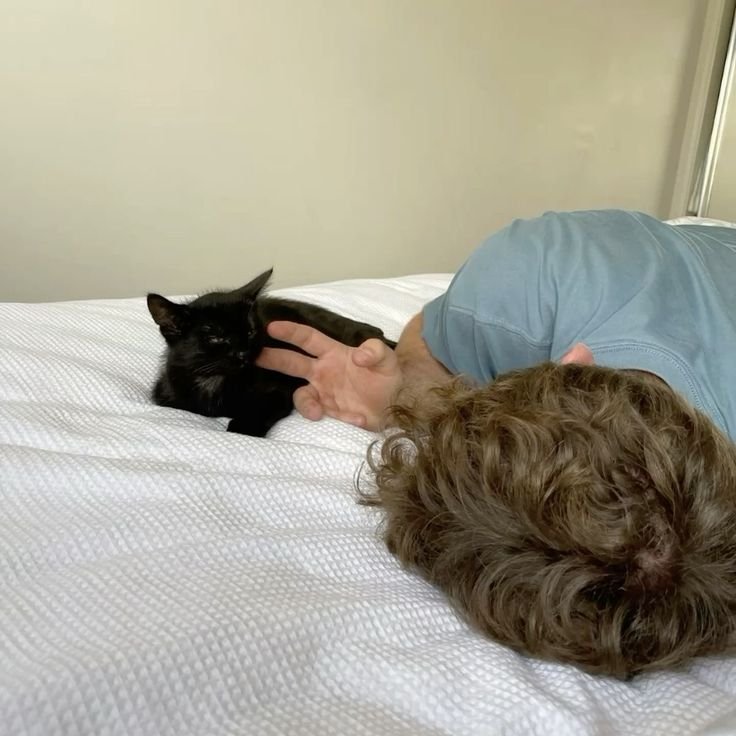 catwomamjr's tweet photo. @symbiotcs ya es padre . https://t.co/msXq6Z9hqu