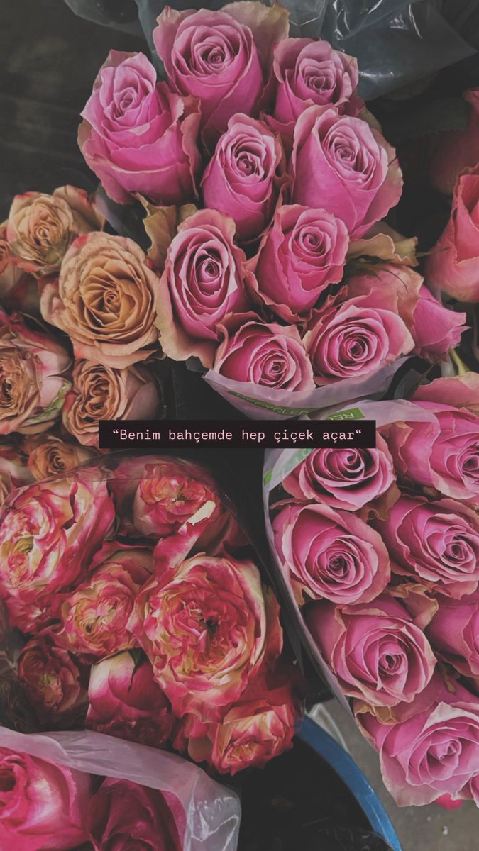 ilayycinar's tweet photo. 💐🌺🌸 https://t.co/OkT3SR0oLm