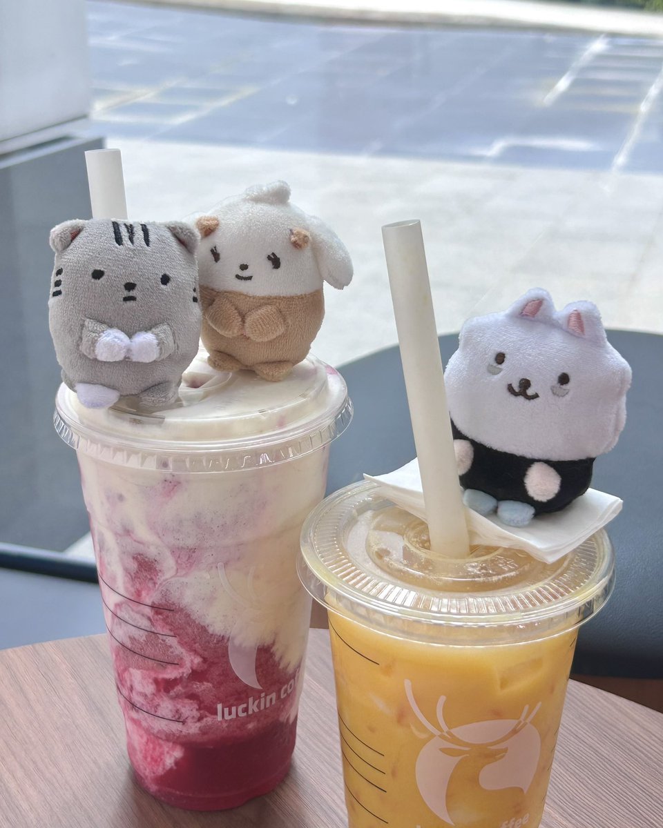 terrymissucake's tweet photo. sumikko gurashi ppulbatu . .̱ ·
#SOOBIN #BEOMGYU #TAEHYUN #TXT #PPULBATU https://t.co/e7S2xzhzqv