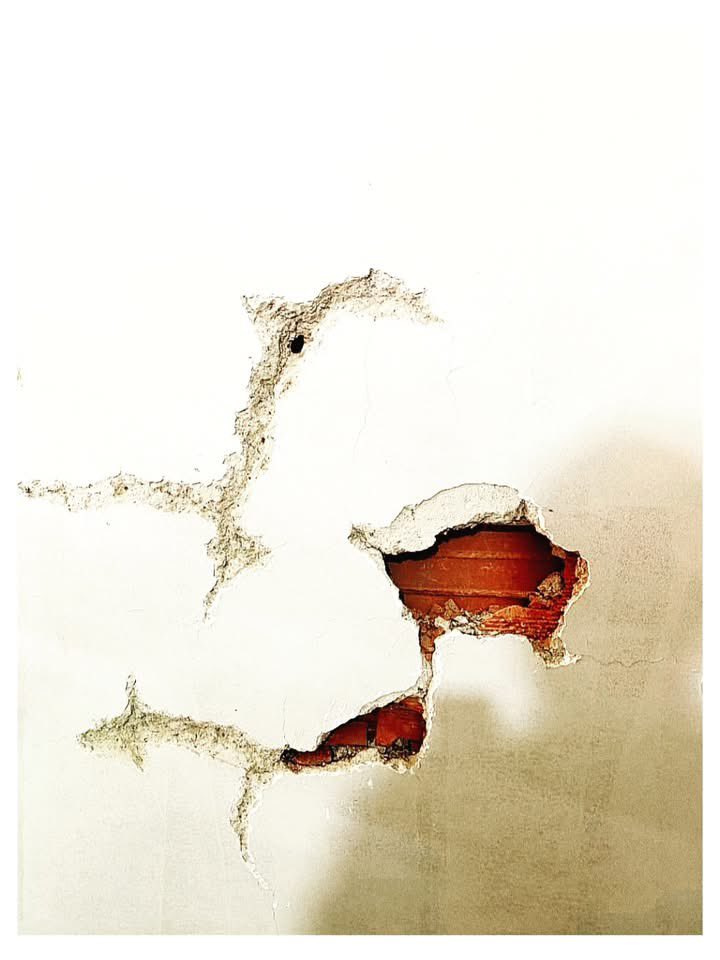 JacGoldberg's tweet photo. «Las cicatrices, pues, son las costuras
de la memoria,
un remate imperfecto que nos sana
dañándonos. La forma
que el tiempo encuentra
de que nunca olvidemos las heridas».

/ Piedad Bonnett https://t.co/MbBhNdOxvL