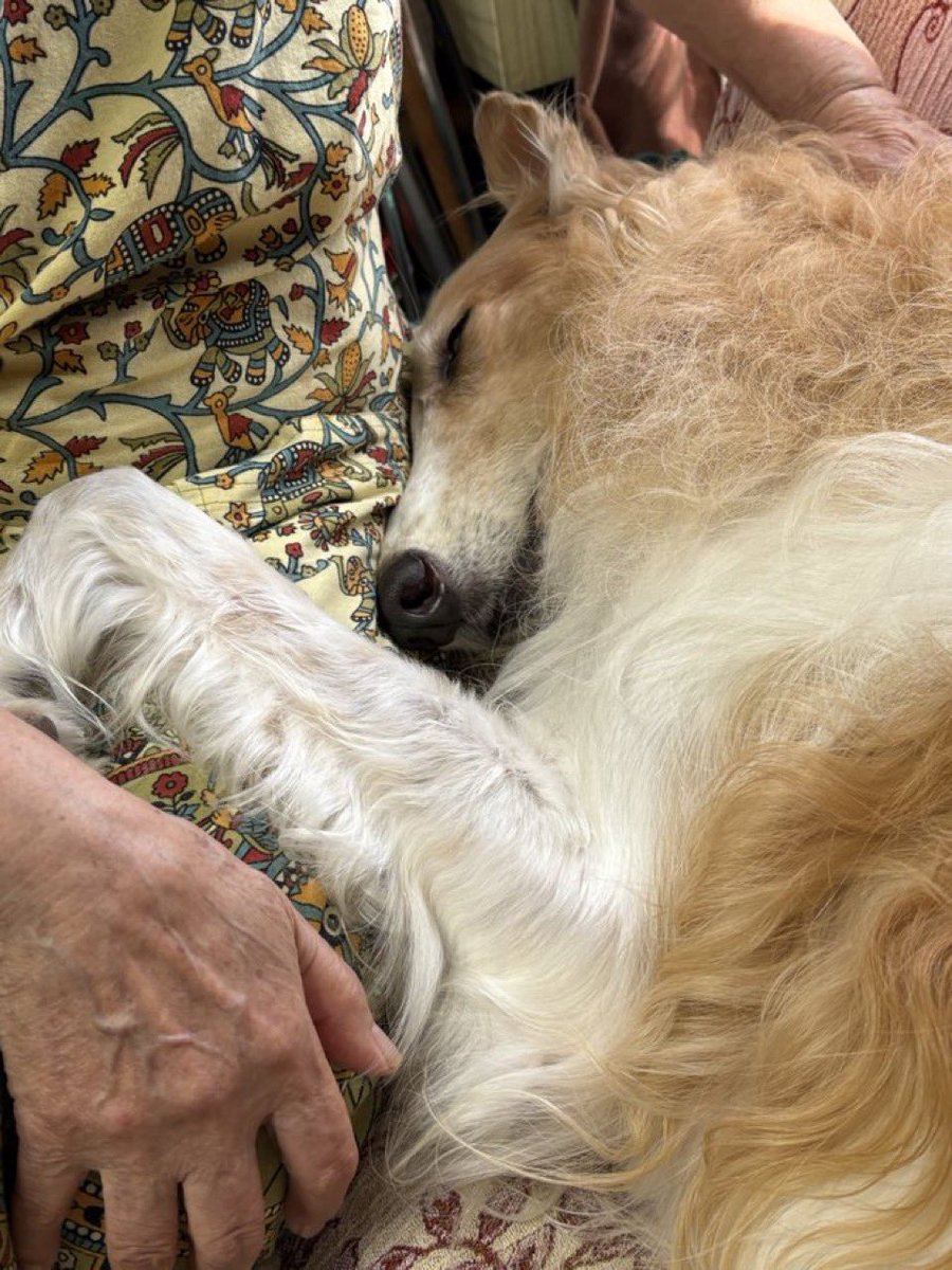 parkeuhhhh's tweet photo. sleepy.... dont wake me https://t.co/xhkCUq4RfZ