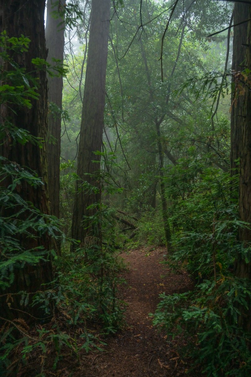 callousedsouls's tweet photo. The moment my legs begin to move, my thoughts begin to flow. https://t.co/gvo2IvqocW