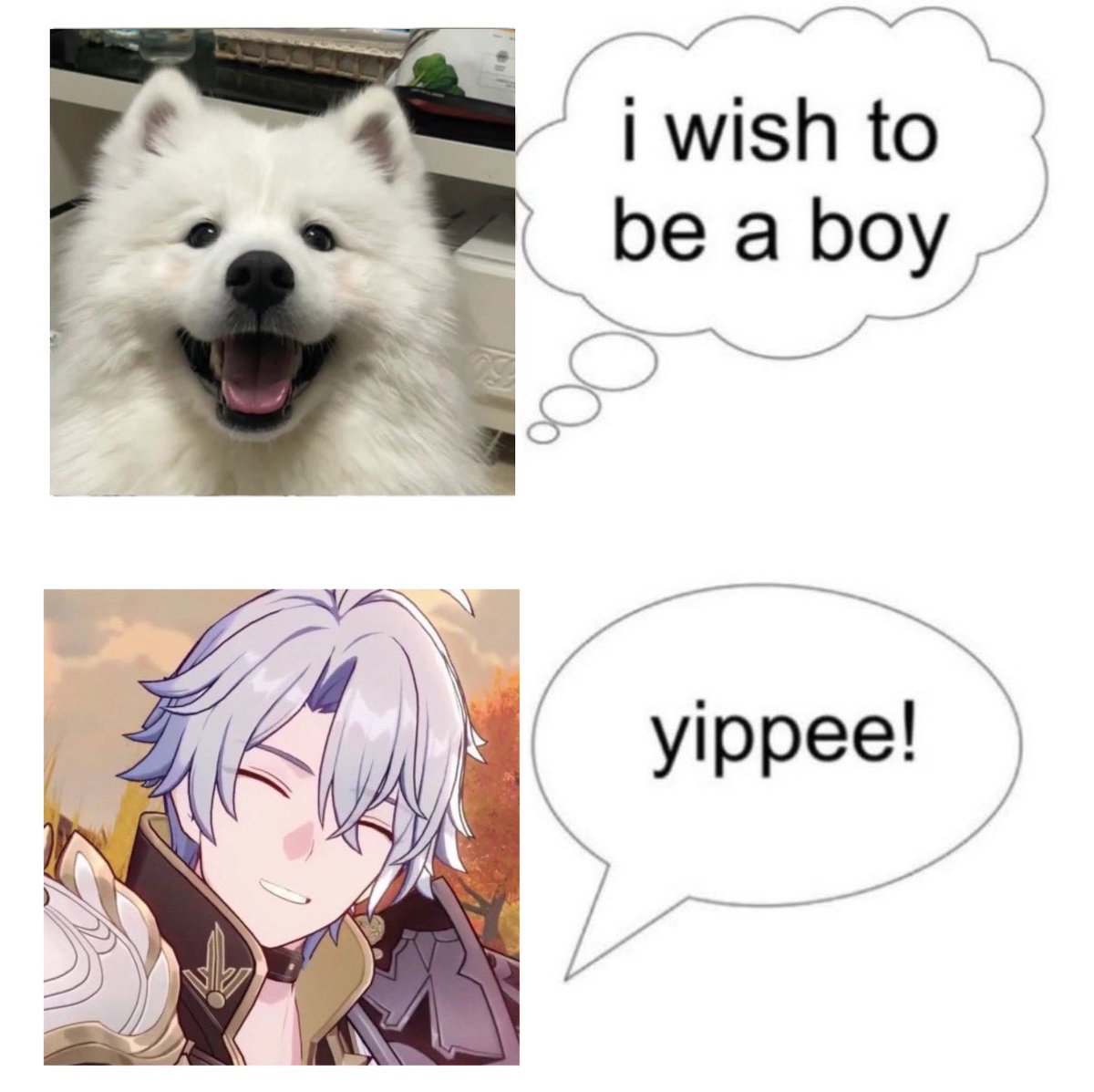 phaiflames's tweet photo. phainon is so samoyed https://t.co/qOzkCdCwJY