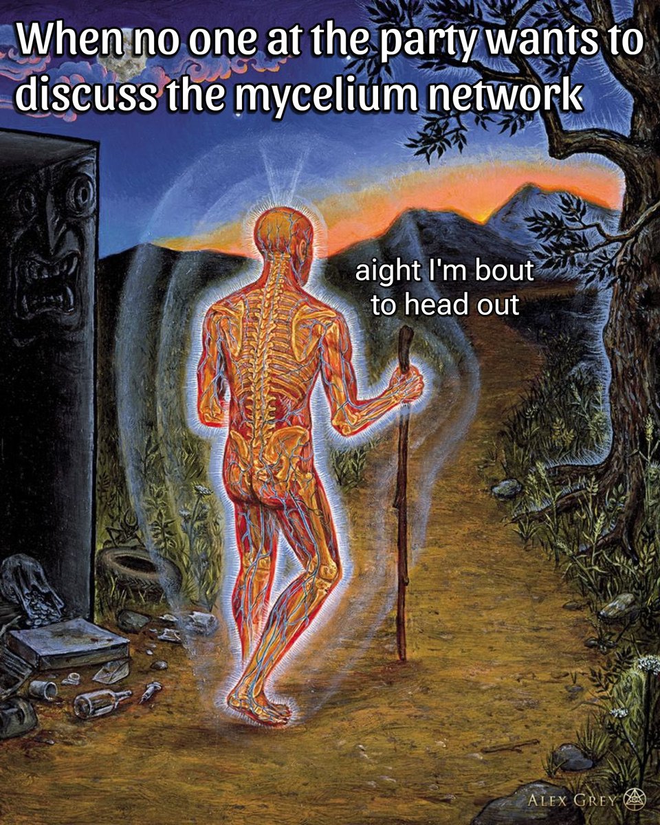 APsychedelics's tweet photo. Artwork by Alex Grey 👨‍🚀 https://t.co/Sz0cM2EbpE