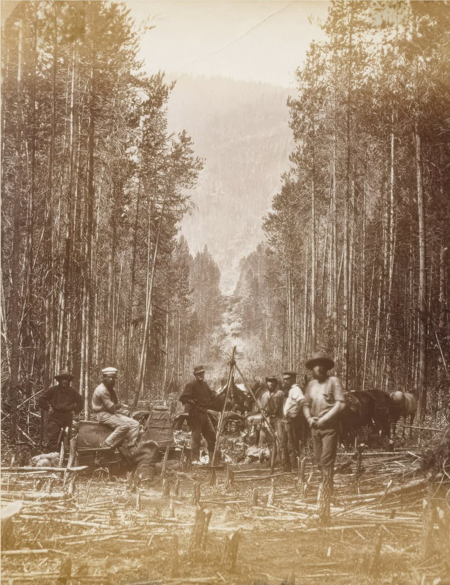oldcanadaseries's tweet photo. Canadians cutting along the 49th Parallel in 1861 along the divider between Canada and the US. credit: Library &amp; Archives of Canada 🇨🇦 https://t.co/vtr1KMPzHK
