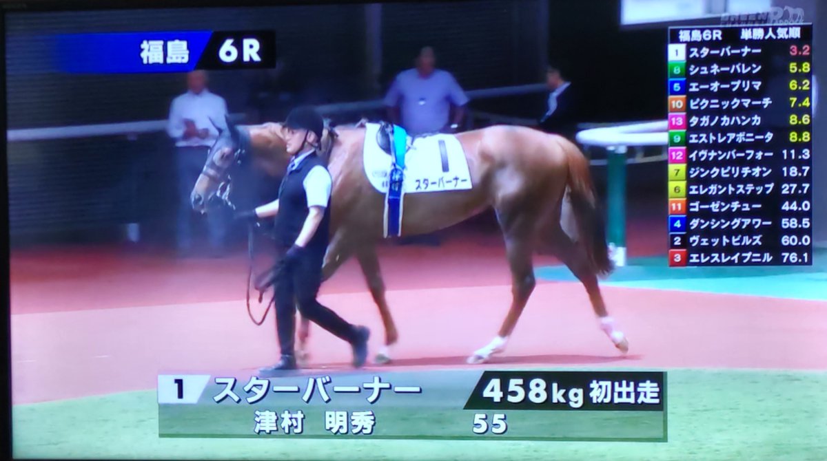 bobby1day's tweet photo. #POG2026
#福島6R
#栗毛好き好き
POG指名馬🐴今年の初陣を飾るのは🐴スターバーナー🐴
1200デビューはちょいと意外やったけど…🙄
とにかくがんばれ📣
スターバーナー📣
がんばれ📣津村～📣 https://t.co/L7DMSmPyVK