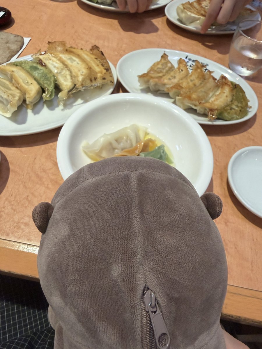 RBtun2's tweet photo. みんな！宇都宮で餃子だよ！！！！ #長谷キャン部 https://t.co/mdotzyWi1c
