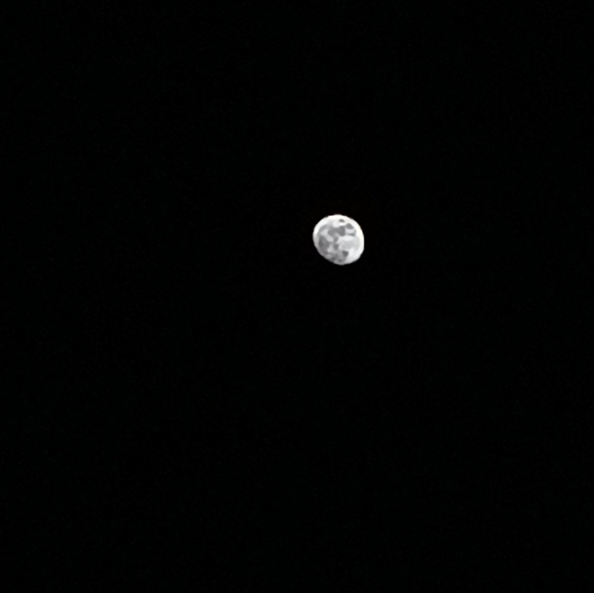 Gummy_pwp's tweet photo. 🌕☁️ https://t.co/6WKjuMTfUU