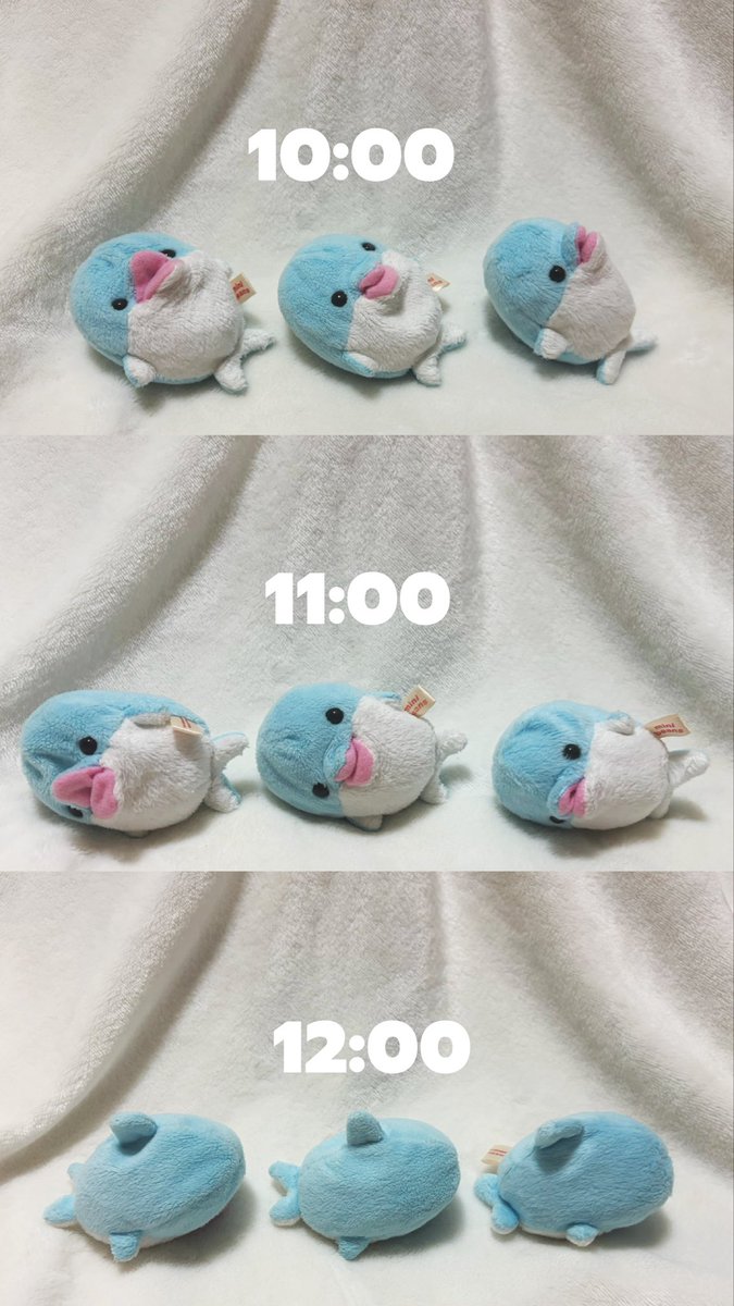 lady_chisaine's tweet photo. ☀️日曜午前の過ごし方🌱 https://t.co/s3PcB1w9B9