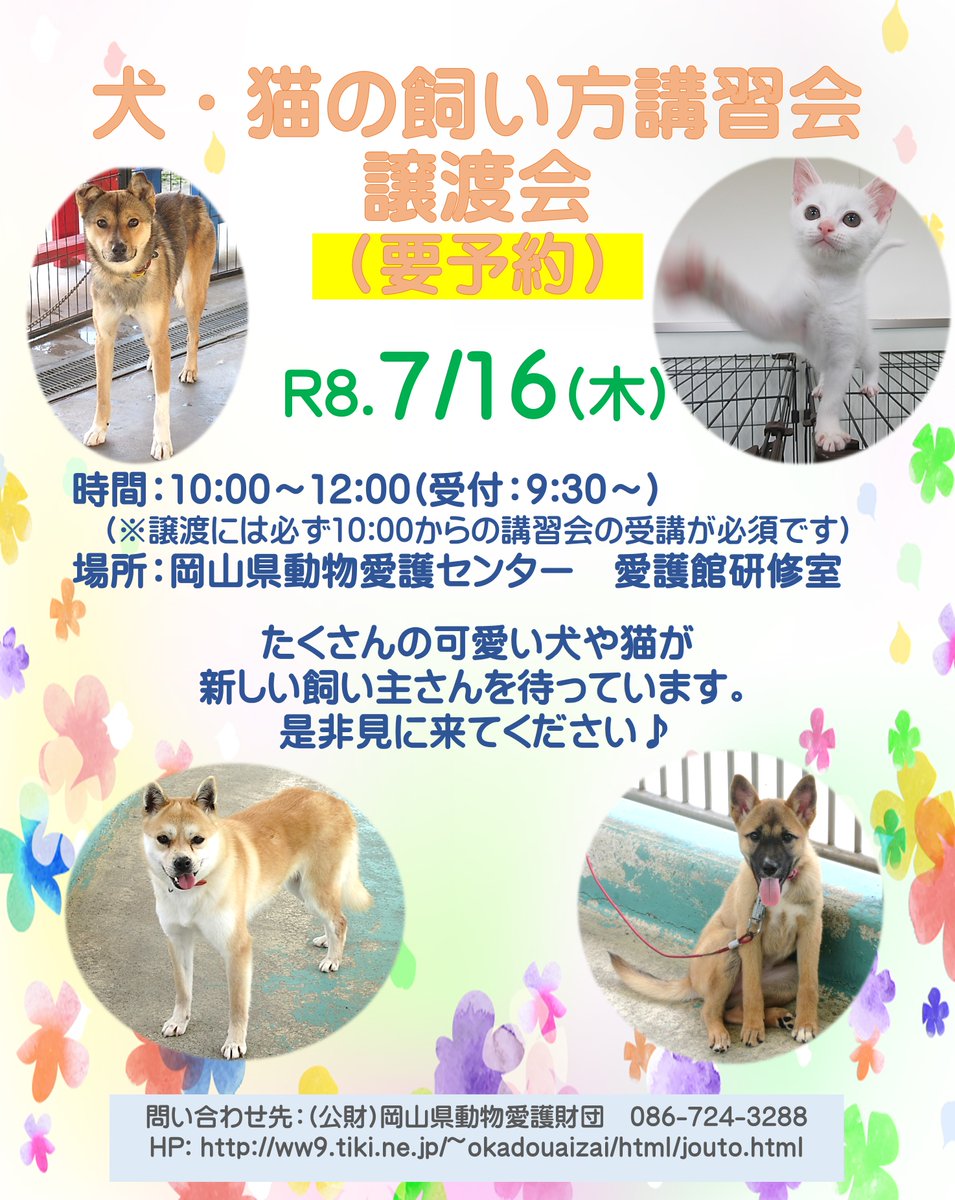 aigozaidan's tweet photo. 犬・猫の飼い方講習会(参加は要予約)のご案内

7月16日(木)10時～、岡山県動物愛護センター愛護館にて犬・猫の飼い方講習会を開催します。
譲渡には条件等がありますので、まずはHPをご確認ください。
お問合せや講習会等のご予約、譲渡対象動物の詳細のご確認は当財団HPへ。

https://t.co/yhsrx0vRtp https://t.co/WAECo6V6wi