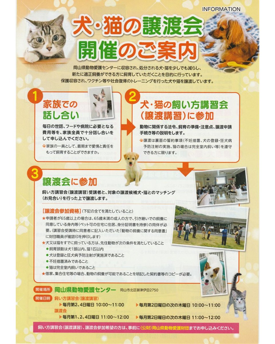 aigozaidan's tweet photo. 犬・猫の飼い方講習会(参加は要予約)のご案内

7月16日(木)10時～、岡山県動物愛護センター愛護館にて犬・猫の飼い方講習会を開催します。
譲渡には条件等がありますので、まずはHPをご確認ください。
お問合せや講習会等のご予約、譲渡対象動物の詳細のご確認は当財団HPへ。

https://t.co/yhsrx0vRtp https://t.co/WAECo6V6wi
