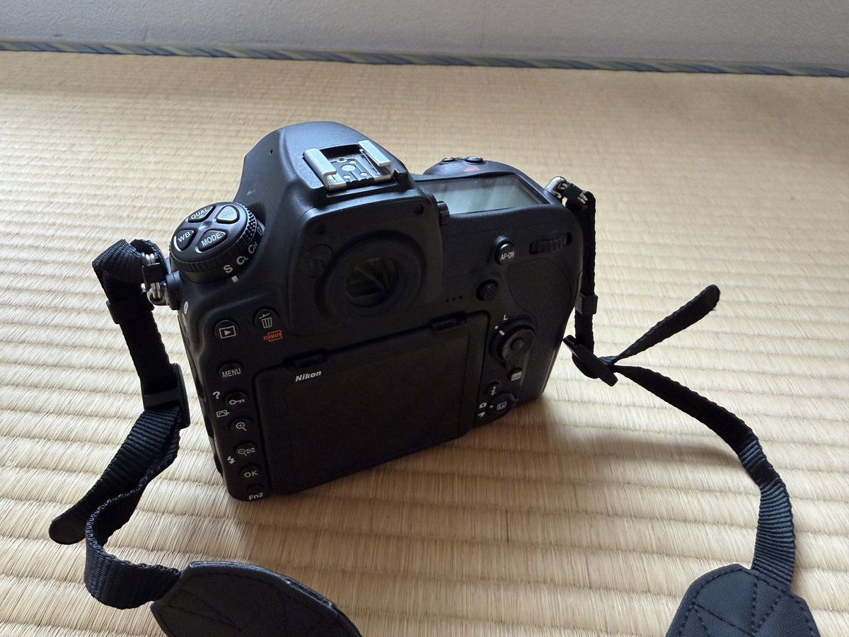 実は密かにNikonの一眼レフを中古購入。