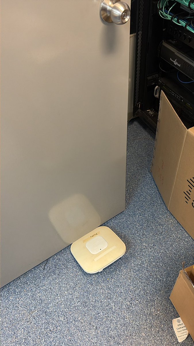 Tickletehpickle's tweet photo. Only the best door stop https://t.co/oGRsumnyEr