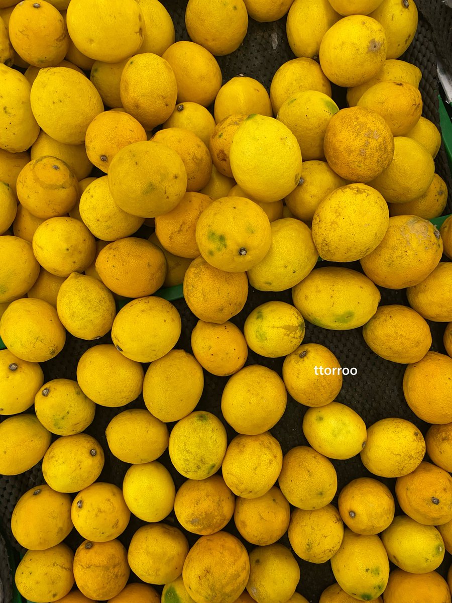 ttorroo's tweet photo. sudah keseringan liat tweet “yg biru2 atau hijau2” di timeline. 

coba sekarang tunjukin yg kuning-kuning di galery kalian🫵

i’ll go first. https://t.co/gGnAt14q2D