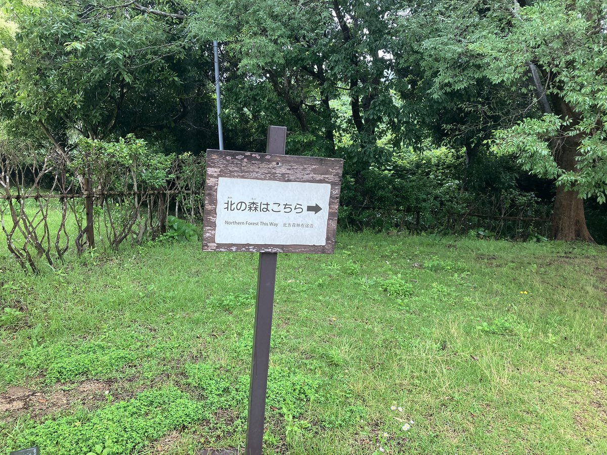 chanta_kensu's tweet photo. #ドラゴンクエスト
#ニジゲンノモリ
#DQ_ISLAND
#淡路島

北の森に討伐へ
スライムぐらいなら僕でもやれるっしょ https://t.co/U1bmrq7OKl