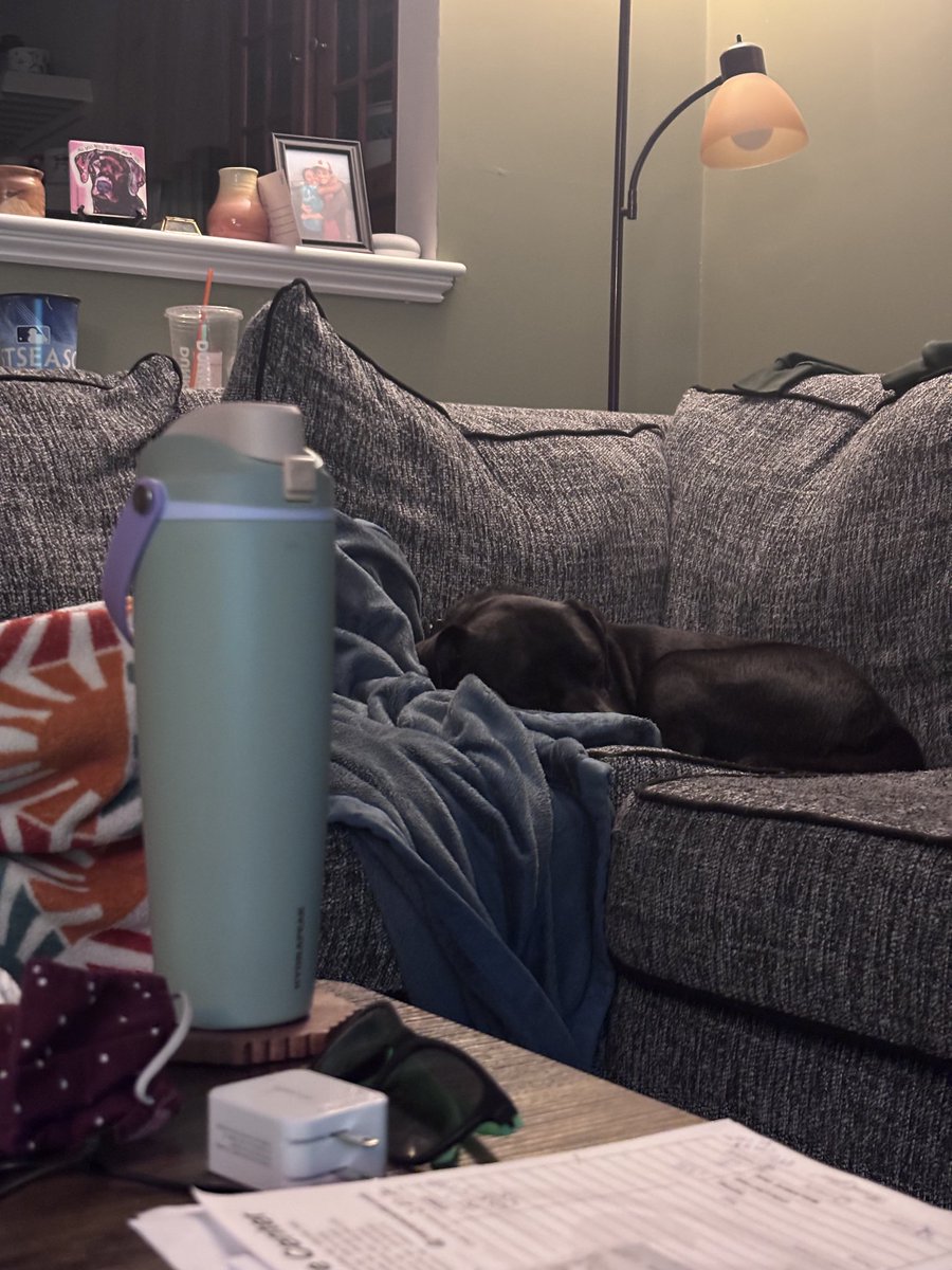 Dflare25's tweet photo. Someone forgot to tell Frito that today's the scariest day of the year for dogs (he's an anxious mess the other 364 days, so it evens out) https://t.co/LAQO5L4cBl