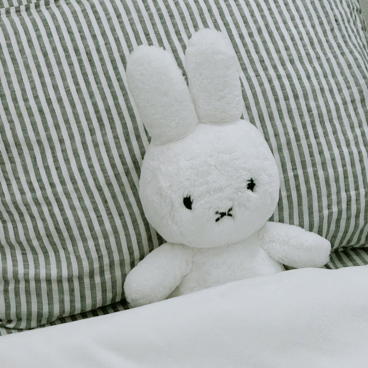 svnwonist_'s tweet photo. day 3, lf interactive moots !!

halooo~ i'm ann✰
— she/her | eng/filo 
— main enha &amp; plave
— anime &amp; gacha games luvr
— all fandoms are welcome
— not new to #stantwt &amp; #kpoptwt 
#moothunt 

let’s interact and be friends!
♡ / ↻ are appreciated~ https://t.co/qHbB7BFWBF