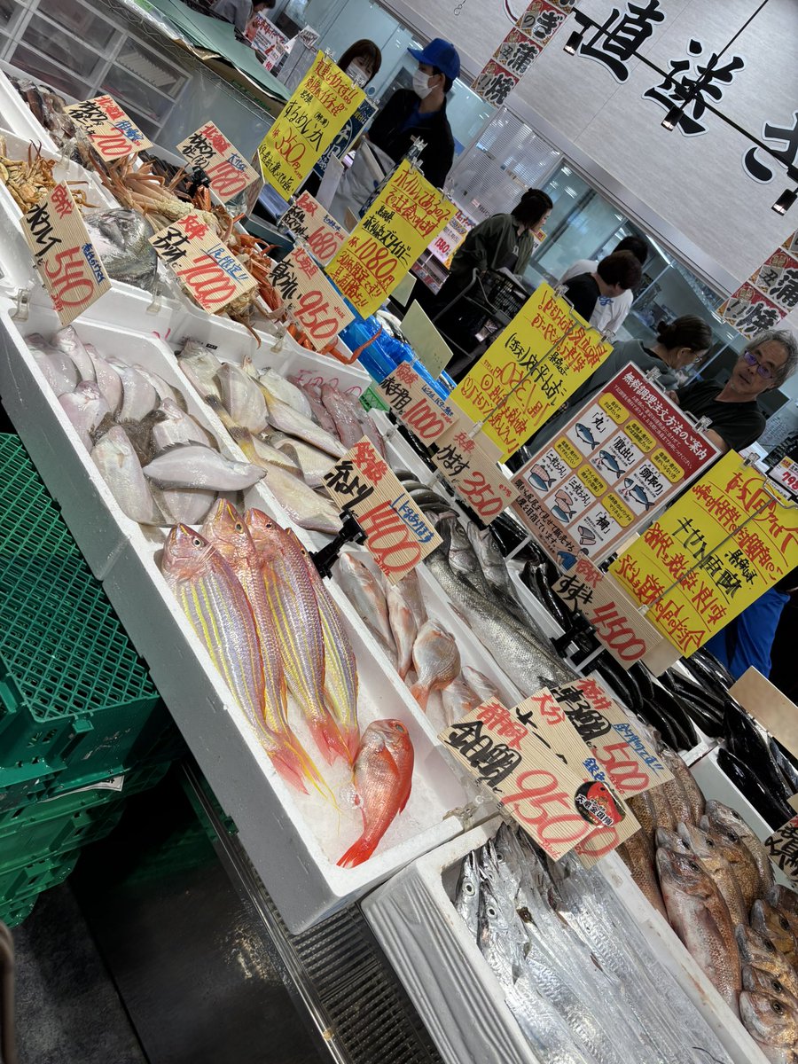 gr_connect_'s tweet photo. 全く用事なかったのに、��しくてカツオ買っちゃった。 https://t.co/0Hwfk4CZHZ