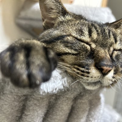 ___moku23's tweet photo. #新しいプロフィール画像 https://t.co/Dmulrc4ixX