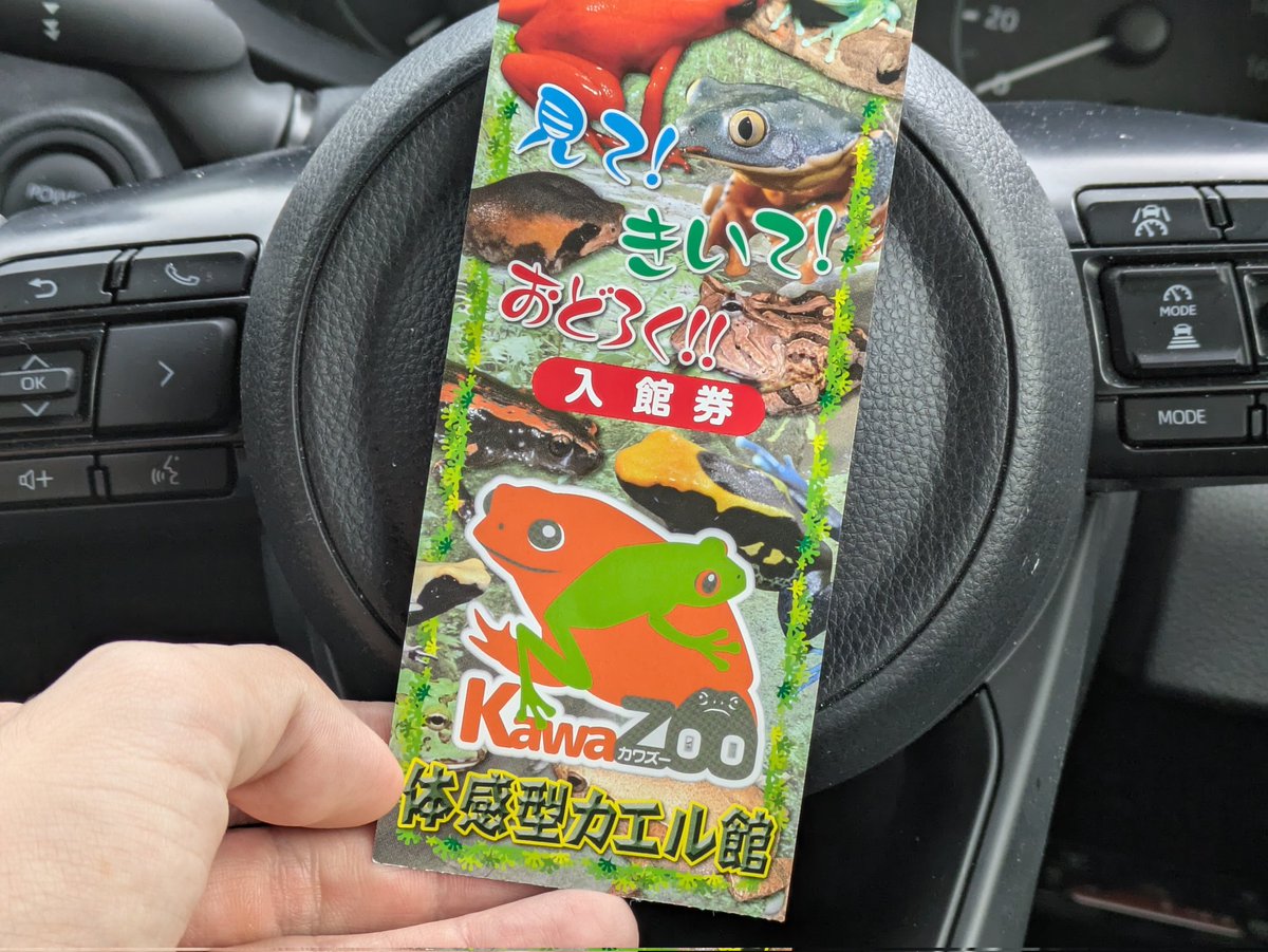 河津町にある動物園､KawaZoo カエル特化で凄かった🐸