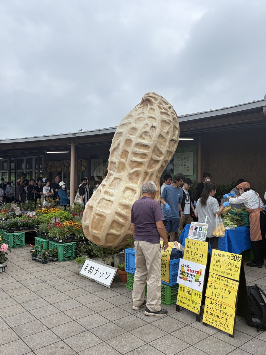 4pStl's tweet photo. ひとまず千葉の散ってる道の駅はだいぶ抑えたから残りは楽にいけそう
18→27 https://t.co/DEH2OfuX81