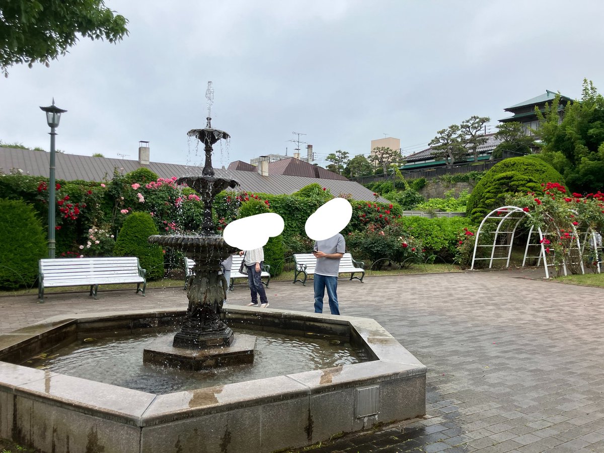 H1fnP's tweet photo. イギリス領事館でバラ見てきた。
いろんな色のバラあって綺麗だった！
見れて嬉しい！
噴水も素敵！
来れて良かった！ https://t.co/fwywOBtCHw