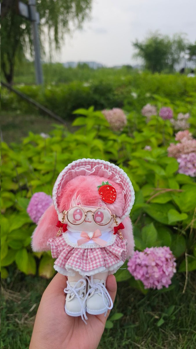 LTsoipeul's tweet photo. 🍓🍓 https://t.co/ENvTvvzZga