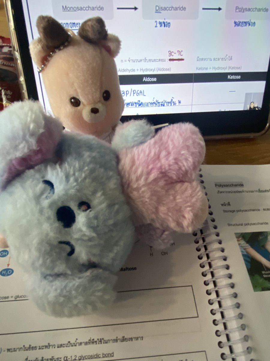 learnlearnjuli tweet picture