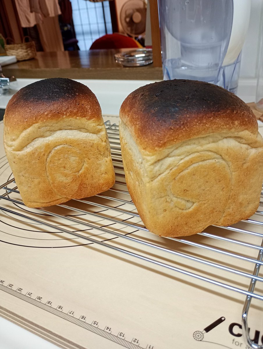 sstigger_chan's tweet photo. パンが焼き上がったので、エニタイムに行きます！
全粒粉入り食パン、ちょっと焦げちゃったけど。 https://t.co/pJz5ckoFxC