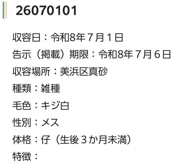 fukushiyamesagi's tweet photo. 🆘緊急🆘#収容猫
🆘告示期限7/6(月)
7/1(水)千葉県千葉市美浜区真砂
生後３か月未満♀キジ白
🚨子猫📲千葉市動物保護指導センター🙇🏻‍♂️
迷い猫迷子保護ネコねこ仔こねこサバトラシロ麦むぎわらムギワラ三毛ミケ中央稲毛海岸駅検見川浜海浜幕張みどり台京成新公園温泉湯楽の里地方卸売市場イオンマリンピア

🚨「メス」「仔（生後３か月未満）」とされる、キジ白(或いはサバ白※ 麦わら(茶キジ、キジサビ)柄+白の三毛猫(キジ三毛、縞三毛、サビ三毛)の可能性もあります。)猫が収容されています‼️
🚨公示に画像が掲載されない為、何らかの傷病を負っている可能性があります🚑‼️
🚨飼い主様・関係者様は大至急お迎えをお願いいたします🙏🏻
🚨収容猫にお心当たりのある方は大至急センター迄ご連絡をお願いいたします📲🙇🏻‍♂️

◎公示には、種類『雑種』毛色『キジ白』* 性別『メス』** 体格『仔（生後３か月未満）』と記載されています🐈‍⬛

＊キジトラ柄、サバトラ柄の違い等、毛色・毛柄等の認識・表現は個人の感覚等によっても異なる為、収容中の猫が公示記載毛色の「キジ白」としてではなく、キジトラ白、白キジ、白キジトラ、キジトラ、或いはサバ白、サバトラ白、白サバ、白サバトラ、サバトラ、若しくはハチワレ、前髪、靴下(ソックス)、ブチ、キジ猫、サバ猫、トラ猫等として捜索されている可能性もあります。収容猫の特徴の詳細はセンター迄お問い合わせください📲🙏🏻

⚠️キジトラ柄、サバトラ柄と見分けのつきにくい柄として、メス(※ごく僅かですがオスも存在します)には麦わら(茶キジ、キジサビ等)柄の個体も存在する為、麦わら猫、或いは麦わら柄+白の三毛猫(キジ三毛、縞三毛、サビ三毛等)を捜索中の方も、念の為センターでのご確認をお願いいたします🙇🏻‍♂️

＊＊収容動物は長毛、傷病、或いは興奮等により性別の確認が困難な場合があり、公示記載の性別が後日訂正される場合もあります。詳細な情報はセンター迄お問い合わせください📲🙏🏻

⚠️⚠️公示には、耳カット、首輪・ハーネス、マイクロチップ等に関する記載はありません(※首輪等は放浪中に外れた可能性もあり、跡が残っている場合もあります )。詳細はセンター迄お問い合わせください📲🙇🏻‍♂️

⚠️⚠️⚠️傷病等の有無・状態、収容状況等についてはセンター迄お問い合わせください📲🙏🏻

◎迷子動物は市区町村境・都県境等を越境して収容される場合もあります。

◎公示に記載がなく、掲載画像からも不明な収容動物の特徴等についてはセンター迄お問い合わせください📲🙇🏻‍♂️

◎『さくらカット』等と呼ばれる避妊・去勢済みを表す「耳カット」は、メスは左、オスは右が一般的ですが、全ての個体にこの例が当てはまるとは限りません。また事故やケンカ等による耳の裂け、破れ等が「耳カット」状に見える場合もあります。

◎収容動物は長期放浪等の影響による容姿の変化、或いは首輪等の脱落、色柄・形状等の経年劣化、放浪中の他者による装着等の可能性があります。公示に掲載画像がある場合でも、撮影・再生条件、被毛・皮膚の濡れ・汚れ・傷病等により動物の目の色や毛柄等の特徴、或いは経年劣化等により首輪等の色柄・形状等が逸走当時とは違って見える可能性があります。またリンクのミス等により掲載画像に別の個体や装着品が表示されるケースも稀に見られます。公示記載情報、或いは掲載画像からの印象と、動物の逸走当時の容姿、装着品との多少の差異に拘らずセンターでのご確認をお願いいたします🙏🏻

保健福祉局医療衛生部生活衛生課動物保護指導センター
千葉県千葉市稲毛区宮野木町445番地1
電話：043-258-7817
ファックス：043-258-7818
📩dobutsuhogo.HWM@city.chiba.lg.jp

千葉市動物保護指導センター 迷い猫の情報(収容動物)
⏩https://t.co/SQN5WsLnIz

このページのご利用について
•収容した動物の画像を公開していますが、動物の状態により撮影できない場合もありますので、ご了承ください。
•掲載各情報で体格「子」と記載している動物は、91日齢未満（推定を含む）のものです。
•毛色、体格や首輪等の有無は目安としてください。首輪などは放浪中に脱落していることもあります。
•この他に、個人の方などからの保護情報が寄せられている場合があります。

•該当する情報の有無に関わらず、お問い合わせいただくか、当センターで実際に確認するようにしてください。

🟢市民等が保護している猫の情報
⏩https://t.co/KQnrk8vplt

🟢猫の譲渡をご希望の方は、「新しい飼い主さんを待っている動物たちの情報（猫）⏩https://t.co/Si5IDfbpHB」をご覧ください。