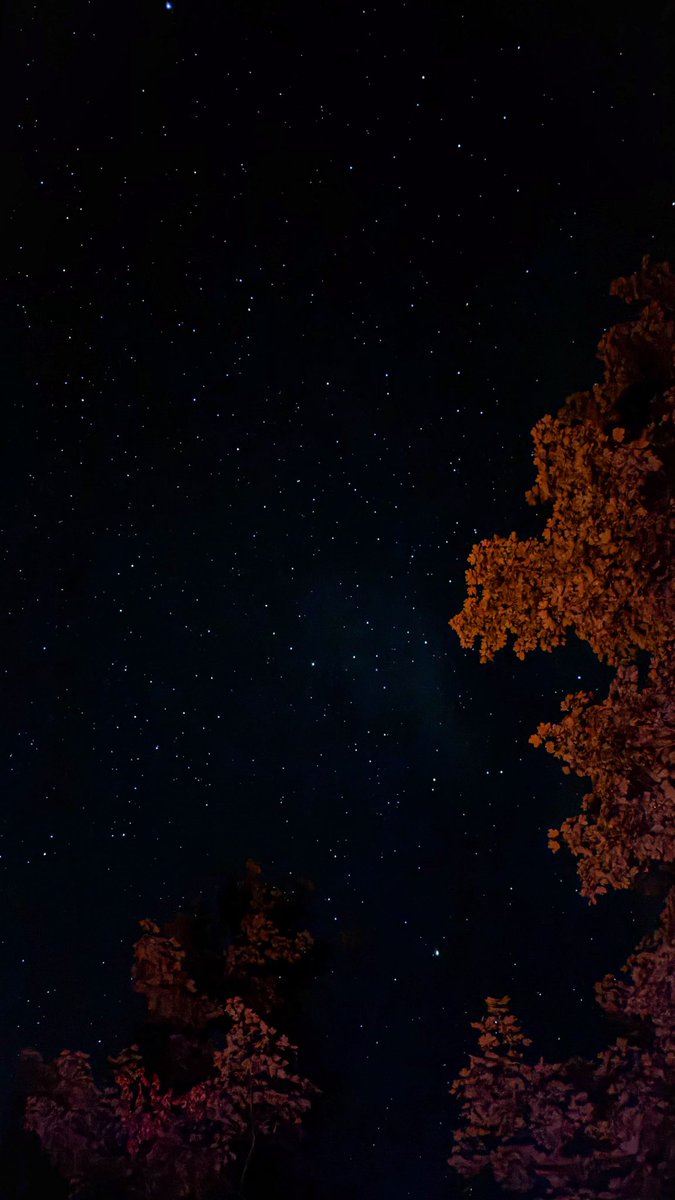 bcalascibetta's tweet photo. 📍Ontario, Canada https://t.co/PJelcsMjMt