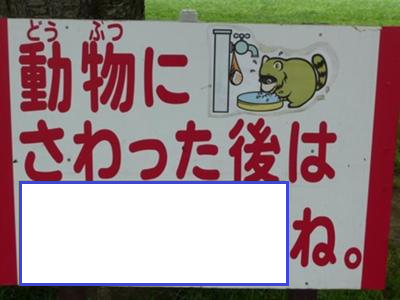 Ogiribot's tweet photo. やめとけばよかったって思うよ https://t.co/3dChW15ww8