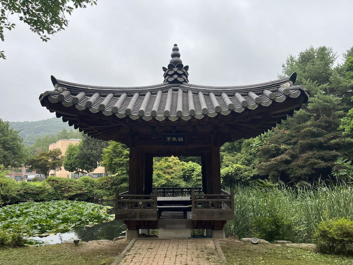 solmirfather's tweet photo. 사실 어제(7/4,토) 이른 아침의 계획(?)은 이랬다. 
녹음이 한가득 우거진 #학의정(#한국학중앙연구원) 사진을 찍으면서 😏 흐믓 😊하게 혼자 ~
‘이따가 작업 마치고 오늘은 한여름 나.만의 멋(?)을 기록📝으로 남겨 놓자’ 😎 
.
#땡삐(#땅벌)가 날 집단으로 #다구리.하기 전.까진 그랬다 😓 https://t.co/iKUF4oVrb5