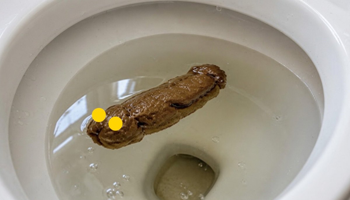 WillyWallace00's tweet photo. @Arouet_V @ClaraBrugadaM @rubenmoreiravdz Seguramente axolotes cafés con ojitos de maicito mal masticado. https://t.co/jVIvQP0VEu