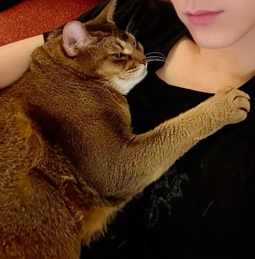 ywnpsk's tweet photo. ลีออนเป็นหมอนข้างได้เลยอะ 555555555 บึบบับมากกกกก https://t.co/oUxuLjr9Ml