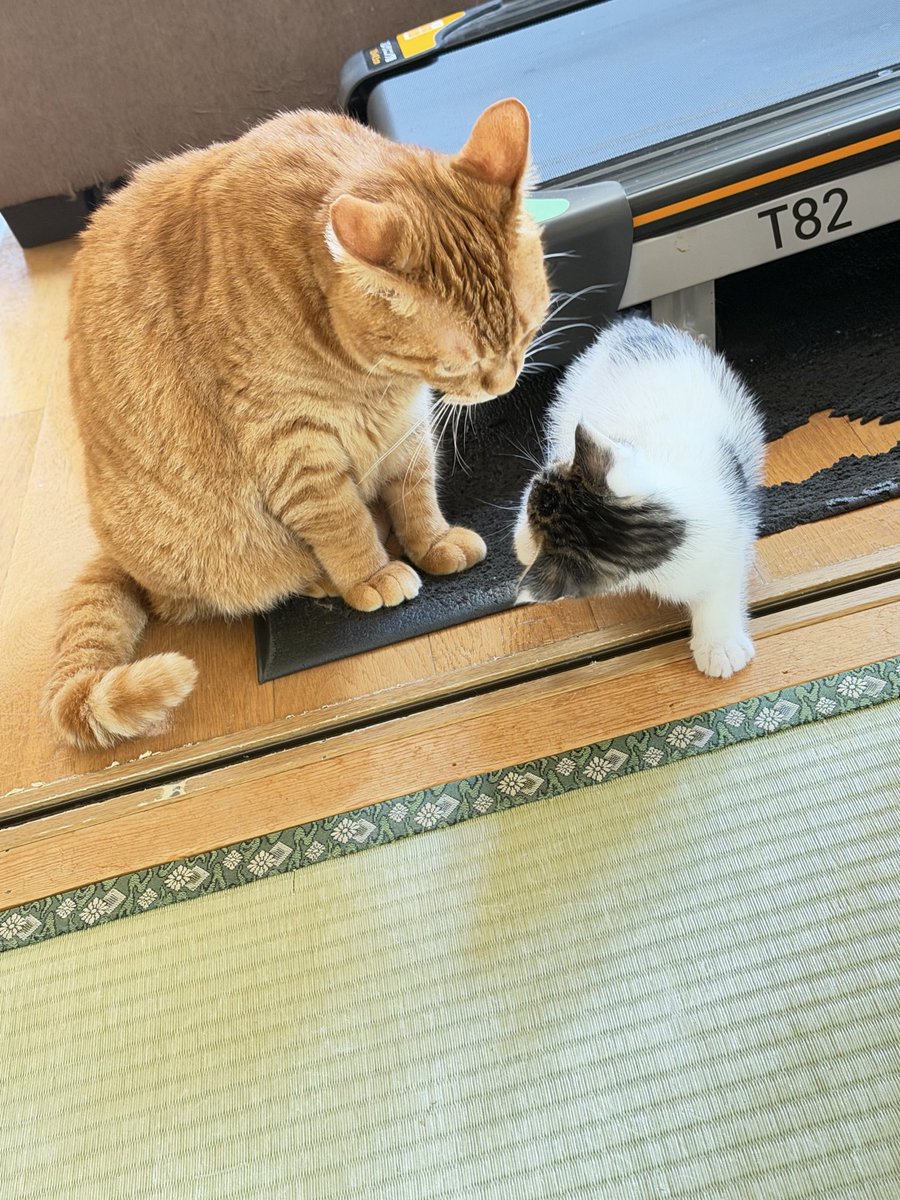 DenebPecora's tweet photo. 出会いと別れ https://t.co/h8RgN3cSO9