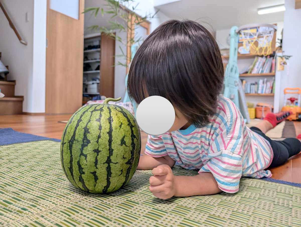 miro_twit's tweet photo. 今年のスイカ1号
子どもがほんとに嬉しそうに食べてくれる。
お父さん感激ｗ https://t.co/ig8l1ZQsTW