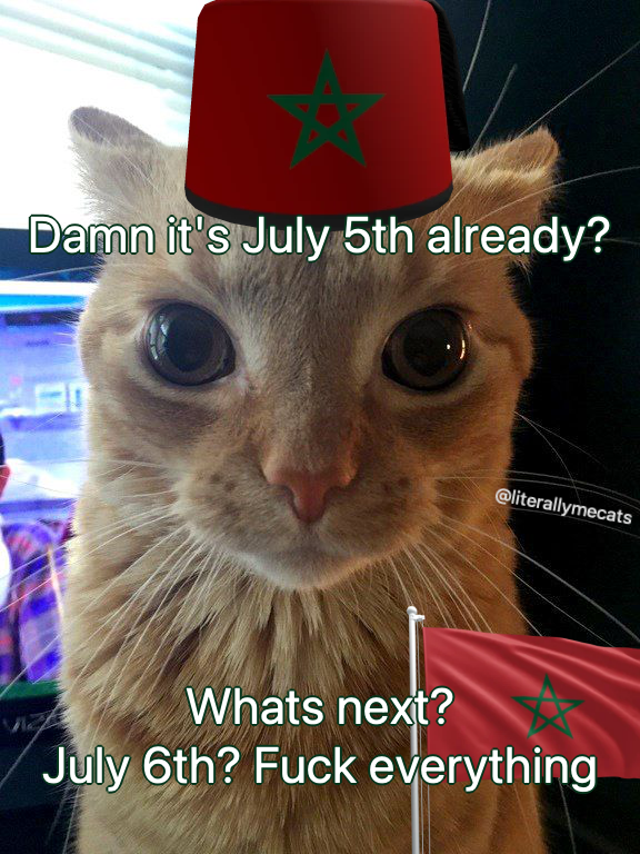 literallymecats's tweet photo. https://t.co/luQOxdZP3n