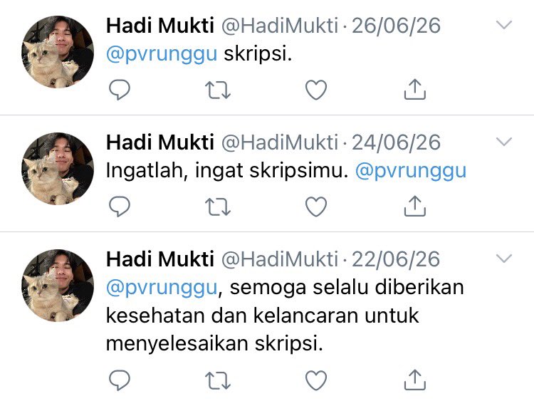 🐈 tweet media