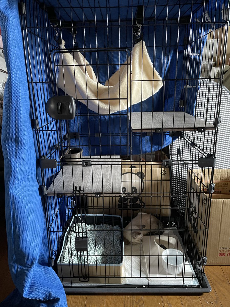 y5eyrd's tweet photo. ロフト付き二階建てに引っ越しました。

※引っ越し荷物が片付いてなくてお見苦しい https://t.co/E057TK3iFW