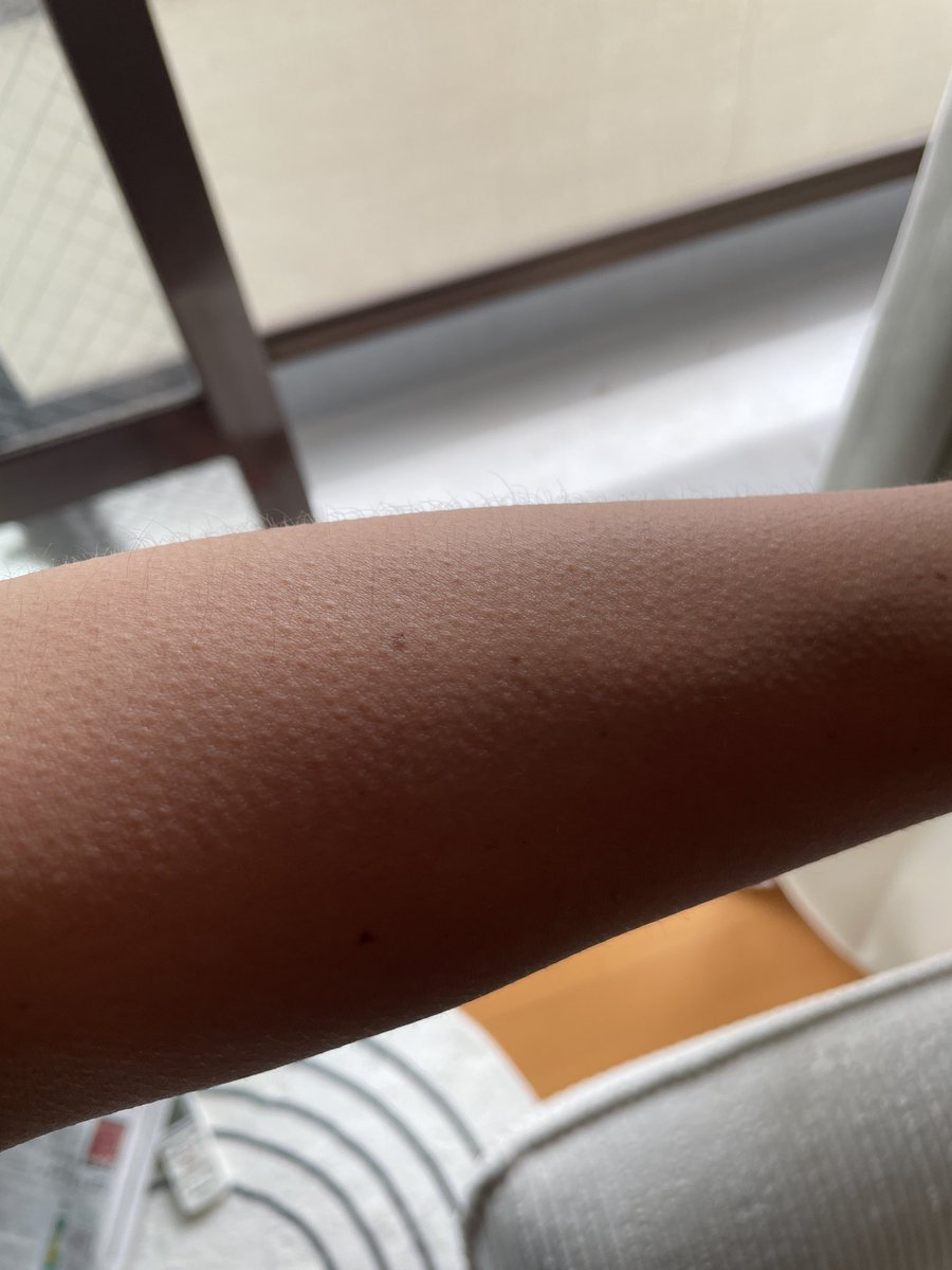 tsuchiyapoco's tweet photo. 「方舟」読了
2025年最も売れたミステリー的な帯を見たので、犯人探ししながら「ほぉ〜なるほどねぇ」と読んでたら、最後とんでもなかった。まさに鳥肌もの。 https://t.co/xAM0nEZZES