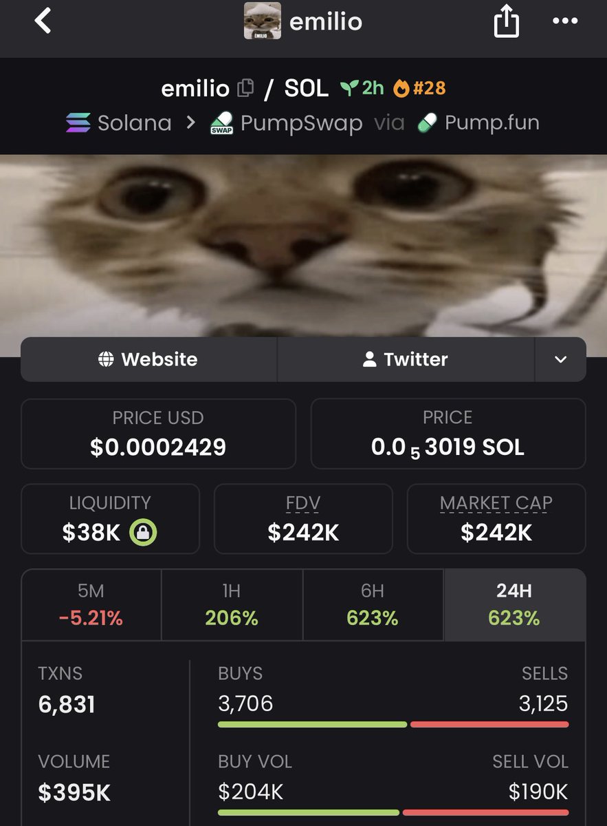 Solpump7lz's tweet photo. From just $9.1k mc to a massive $242k MC 
$emilio delivered real results, 26x gain🚀

If you’re tired of chasing pumps too late, it’s time to level up.
Follow me now &amp; join my TG for early, high- conviction plays

#memecoin #solana #crypto 
#bbvipks4 https://t.co/I9yC6Mry9a