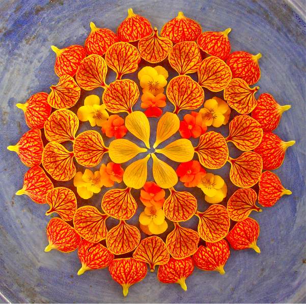 womensart1's tweet photo. Real flower mandalas created by Arizona artist Kathy Klein #womensart #summertime https://t.co/DLmtgb4jsw