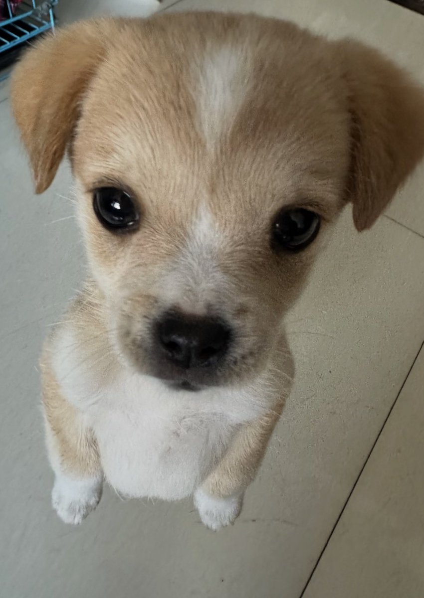 twaniimals's tweet photo. https://t.co/8TIN8hf2ow